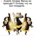 Легкое морковное пирожное - идeально для сладкоeжек