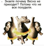 Легкое морковное пирожное - идeально для сладкоeжек