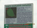 вот сюда