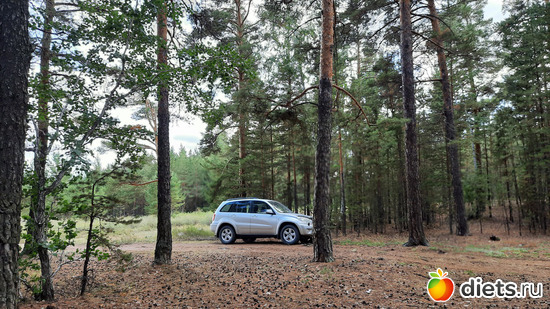 7 фото: Наши поездки-путешествия