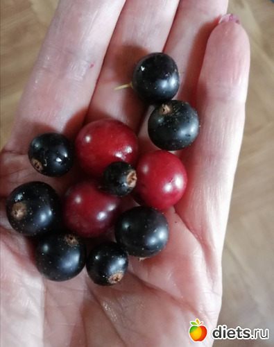 3 фото: Мой мир, в котором я живу...