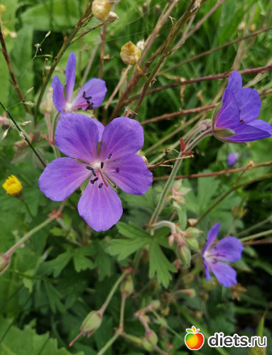 4 фото: Мой мир, в котором я живу...