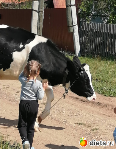 6 фото: Мой мир, в котором я живу...
