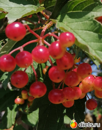 7 фото: Мой мир, в котором я живу...