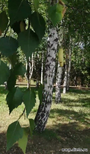 10 фото: Мой мир, в котором я живу...