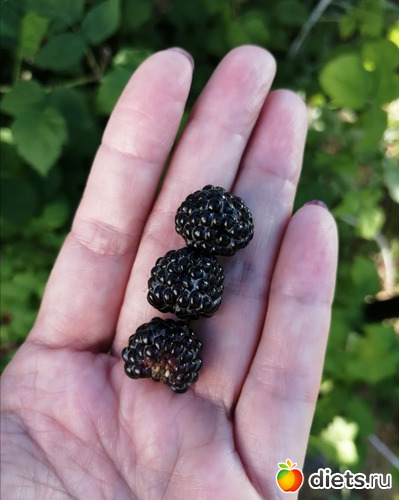 13 фото: Мой мир, в котором я живу...