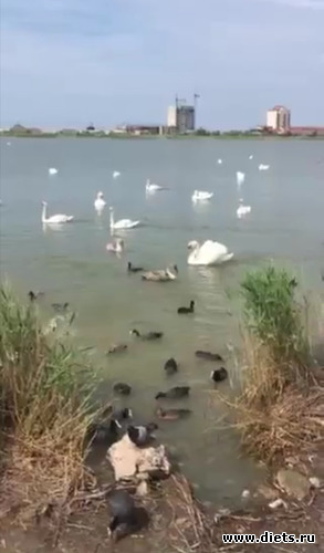 15 фото: Мой мир, в котором я живу...