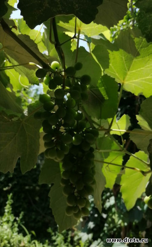 21 фото: Мой мир, в котором я живу...