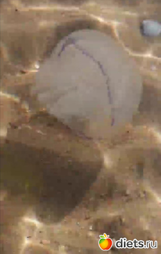 23 фото: Мой мир, в котором я живу...