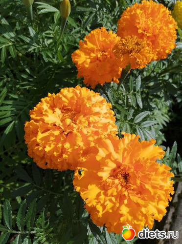 24 фото: Мой мир, в котором я живу...