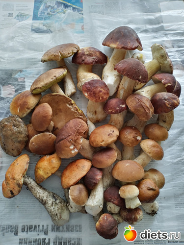 38 фото: 2021лето