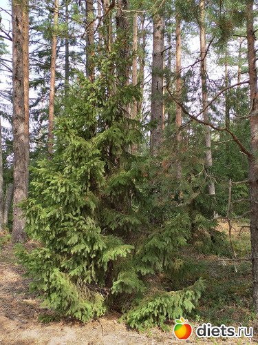 43 фото: 2021лето