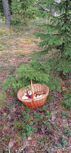 44 фото: 2021лето