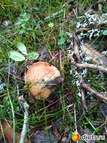 57 фото: 2021лето