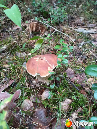 58 фото: 2021лето