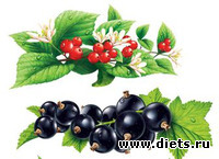 Разноцветная ягода