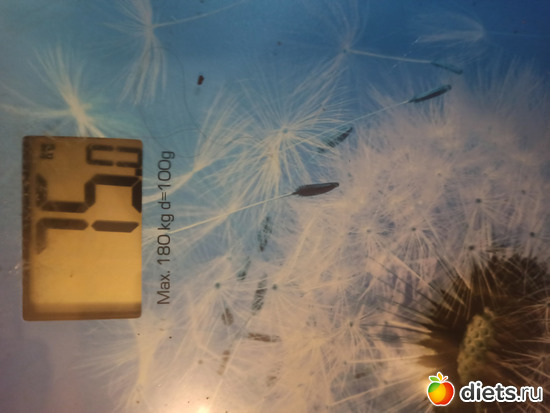 Вес 27.08, альбом: Марафон с 30.07.2021