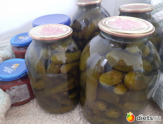 11 ����: ������