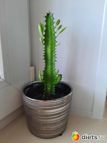    &quot;&quot; ))), : -2022/2023