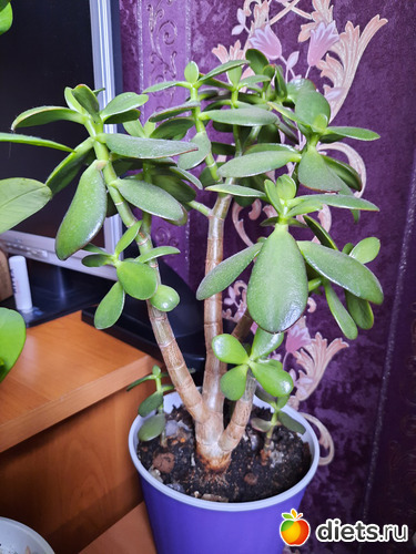    ,     , : -2022/2023