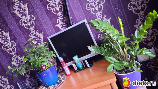 пока придётся задвинуть свой минимализм в сторону, альбом: Моя оранжерея 2021