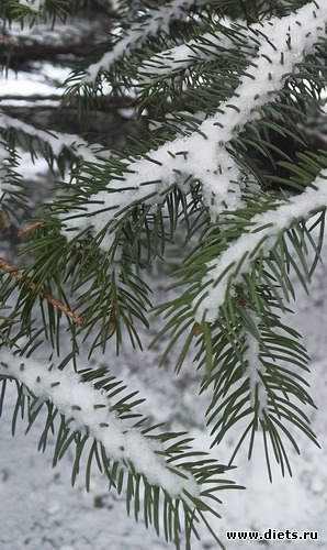 41 фото: Погода