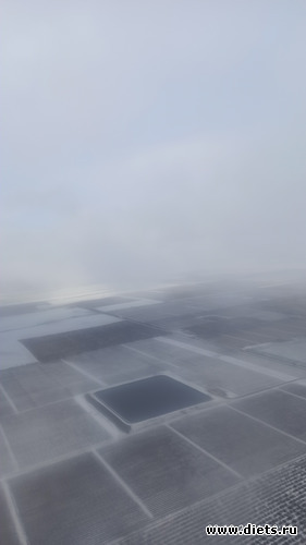 52 фото: Погода