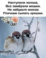 � ����� �� ���������))) ����� �����