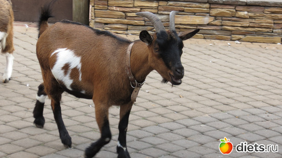 ,  ,  ,      ))), :  2015// 