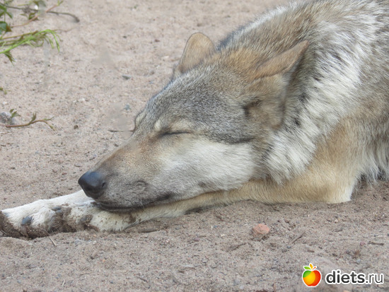 ! (   ? )))), :  2015// 