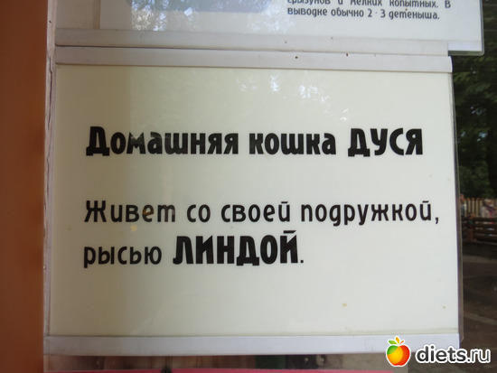 и такое бывает, альбом: Питер 2015/ЗООПАРК/ Дельфинариум