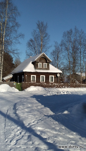 230 ����: ������