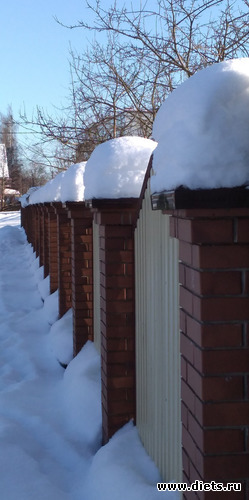 231 ����: ������