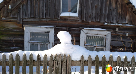 233 ����: ������