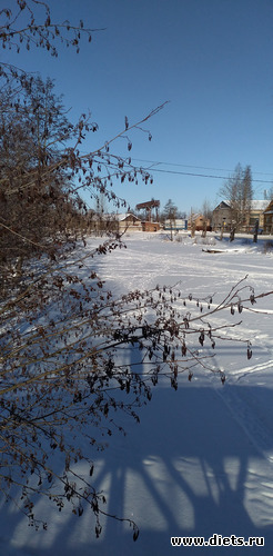 235 ����: ������