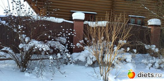 236 ����: ������