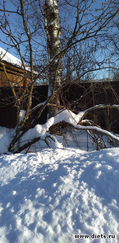 238 ����: ������