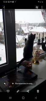 "Небо" на коленках, имбирный чай и разгрузочный день.