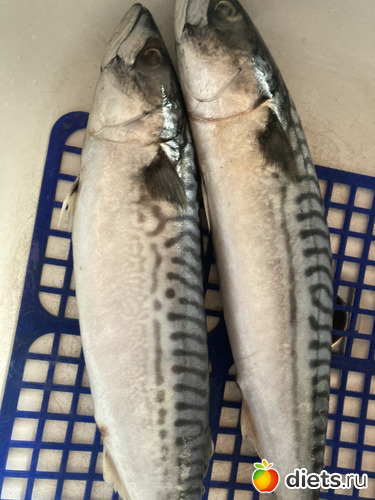 9 фото: 2020 ноябрь декабрь - 2021