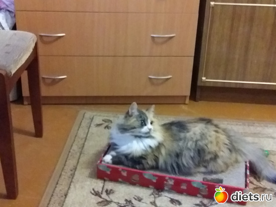 4 фото: Белое море