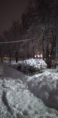 196 ����: ������