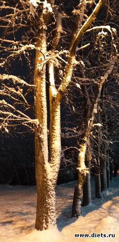 197 ����: ������