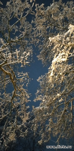 198 ����: ������