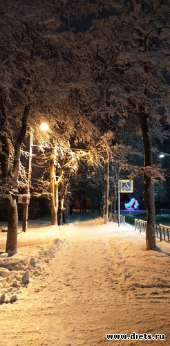 200 ����: ������