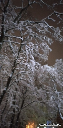 201 ����: ������