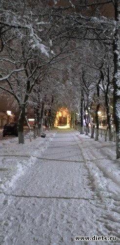 202 ����: ������