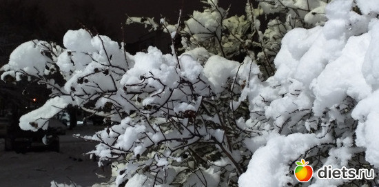 203 ����: ������