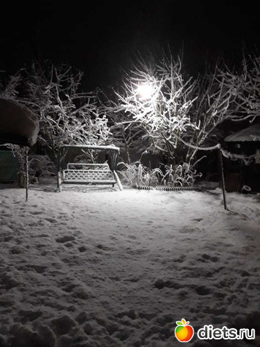 204 ����: ������