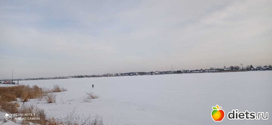 215 ����: ������