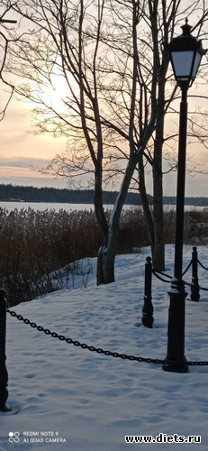 219 фото: Разное